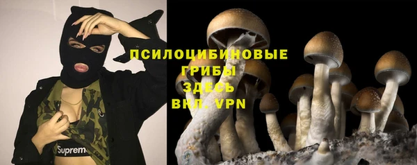 стафф Абинск